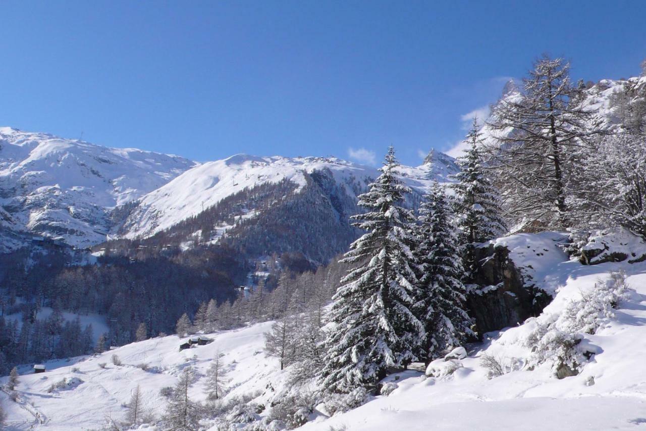 Apartament Casa Raposa Zermatt Zewnętrze zdjęcie